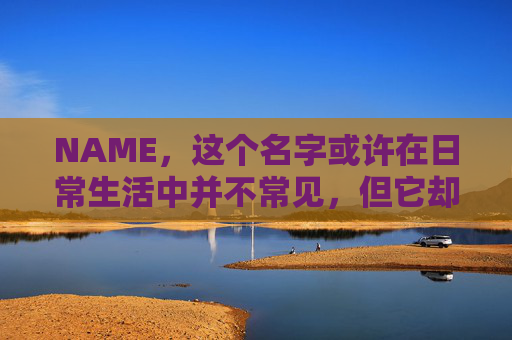 NAME，这个名字或许在日常生活中并不常见，但它却在某些领域里扮演着重要的角色。今天，让我们一起来探索这个名字背后的故事和意义